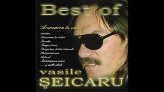 Vasile Şeicaru  Fără tine [upl. by Tnek404]