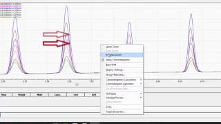 LabSolutions LCGC Workstation Basic Data Analysis [upl. by Rother607]