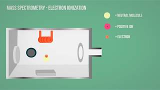 MS  Mass Spectrometry  Electron Ionization Animation [upl. by Binette]