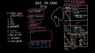 Gaz du sang  Quiz  Partie 3  22  Docteur Synapse [upl. by Nesiaj530]