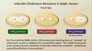 Antibiotic Resistance Antibiotics  Lecture 9 [upl. by Eelinej]