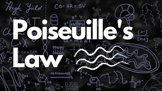 Poiseuilles Law  What is Laminar and Turbulent Flow  MCAT [upl. by Aivin]