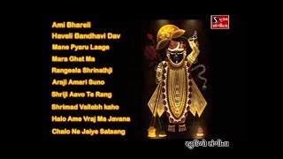 Shrinathji Satsang  Top 10 Songs  Maara Ghat Ma Birajta Shrinathji [upl. by Selden]