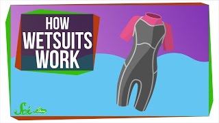 How Do Wetsuits Keep You Warm [upl. by Elleryt]