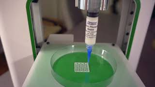 Bioprinting of Bone Scaffold [upl. by Anama]