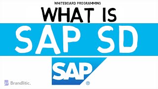 What is SAP SD Explained  Introduction to SAP SD Basics [upl. by Repooc67]