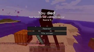 Minecraft how to look at enderman safely  minecraft look at enderman safely [upl. by Cresa]