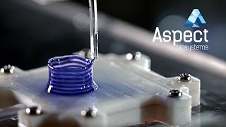 Aspect Biosystems The Bioprinting Process [upl. by Namad952]