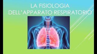 Fisiologia dellapparato respiratorio [upl. by Aelahs]