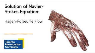 Solution of the NavierStokes HagenPoiseuille Flow [upl. by Ziom884]