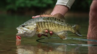 FLY FISHING for BIG River SMALLMOUTH  EPIC Bass Fishing [upl. by Fonzie]