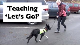 How to stop your dog lunging and barking Train Lets Go shy reactive dogs [upl. by Aznarepse]