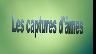 Dofus Les captures dâmes 1 [upl. by Ehsiom]