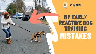 5 Things NOT To Do With Leash Reactive Dog Training [upl. by Acinna]