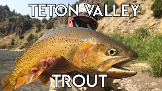 Teton Valley Trout  Ultimate Idaho Fly Fishing [upl. by Xuaeb703]