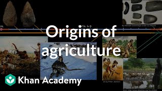 Origins of agriculture  World History  Khan Academy [upl. by Ettigirb]