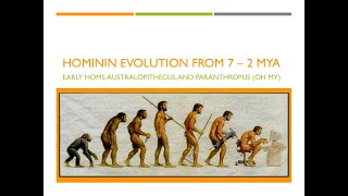 Hominin Evolution Part 1 The First 5 Million Years [upl. by Ennovahc]