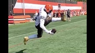 Odell Beckham Jr onehanded trick catch  Cleveland Browns [upl. by Oreste]