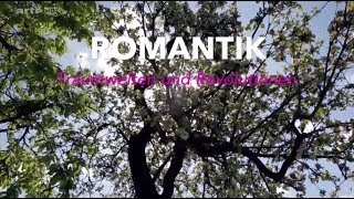 Epoche Romantik Zusammenfassung [upl. by Bedell]