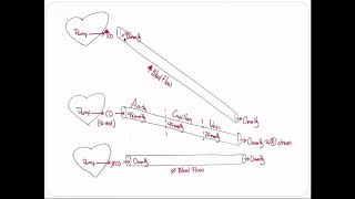 Factors Affecting Blood Flow and Vascular Resistance  The Poiseuille Equation [upl. by Htebharas109]