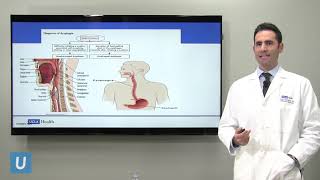 BiPAP vs CPAP Made Easy  Noninvasive Positive Pressure Ventilation NPPV [upl. by Aynos944]