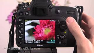 Introduction to the Nikon D7100 Basic Controls [upl. by Nysa]