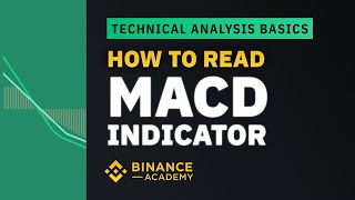 How to Read MACD Indicator ｜Explained For Beginners [upl. by Thomajan]