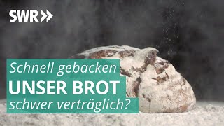 Das Geschäft mit Brot  Marktcheck SWR [upl. by Aneras]