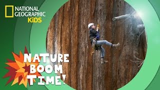 Sequoia National Park  Nature Boom Time  natgeokids [upl. by Dunc]