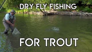 Dry Fly Fishing for Trout Tips [upl. by Pollux614]