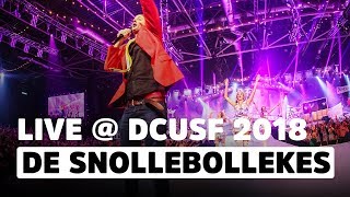 Snollebollekes  Links RechtsFeest Waarvan Ik Morgen Niks Meer Weet  Das Coen Und Sander Fest 2018 [upl. by Kcirdlek]