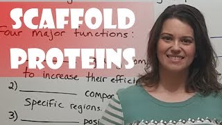 Scaffold Proteins [upl. by Krid]