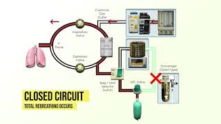 Anesthesia Machine Fundamentals [upl. by Sucramej443]