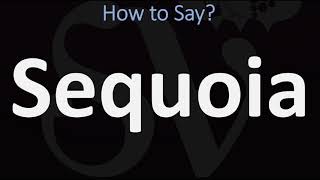 How to Pronounce Sequoia CORRECTLY [upl. by Annawak]