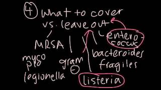 4 Basic Steps in Choosing Antibiotics [upl. by Leinaj]