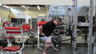 Terminal Knee Extension Progressions [upl. by Estis]