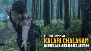 Vidyut Jammwals Kalari Chalanam  The Movement of Animals  Kalaripayattu  Martial Arts [upl. by Bouldon]