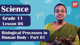 Lesson 06  Biological Processes in Human Body Part 01  Grade 11 Science in English [upl. by Yrakcaz]