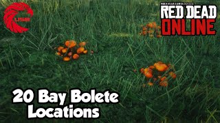 Bay Bolete Locations RDR2 Online  Red Dead Online Bay Bolete Location Guide [upl. by Nefets]