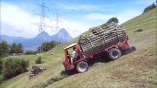 Reform Muli Sommer 2018 Farming in Switzerland [upl. by Eerol712]