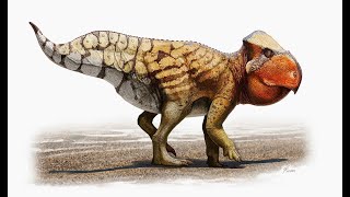 Udanoceratops An Abnormally Large Hornless Ceratopsian From Late Cretaceous Mongolia [upl. by Ewer]