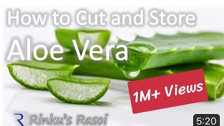 How to Cut and Store Aloe Vera  RinkusRasoi [upl. by Neerroc]