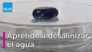 Aprende a DESALINIZAR agua  Experimentos [upl. by Mercie]