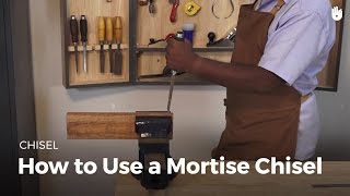 How to Use a Mortise Chisel  Woodworking [upl. by Walburga]