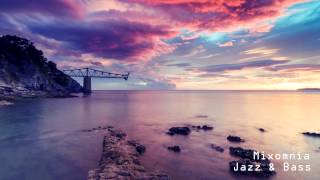 Jazz amp Bass  Liquid Drum amp Bass Mix 2013 [upl. by Eednyl396]