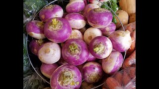 VEGISODE Purple Top Turnip Storage and Braised Turnips Recipe [upl. by Thurston831]