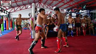 Muay Thai Stars Sparring at YOKKAO  Enjoy the Madness [upl. by Swor934]