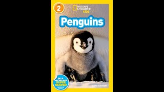 National Geographic Kids Penguins read aloud [upl. by Yhtamit261]