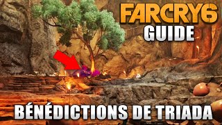 FAR CRY 6  Trophée  Succès  Us et Coutumes Solution de lhistoire  Bénédictions de Triada [upl. by Moffat]