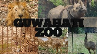 GUWAHATI ZOO  The Assam State Zoo and Botanical Garden  Manas Deka [upl. by Lleruj]